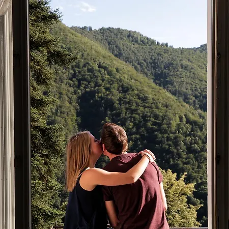 Wild Valley - Edera * Auressio