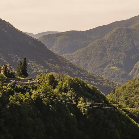 Wild Valley - Edera * Auressio